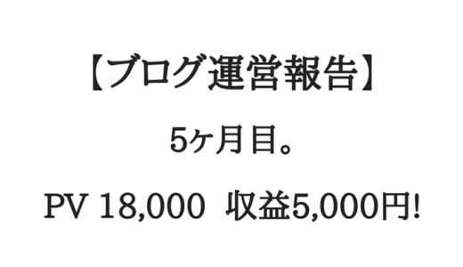 【ブログ運営報告】5ヶ月目。収益5000円！月間2万PV届かず…